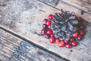 Pine cone surrounded by red cranberries